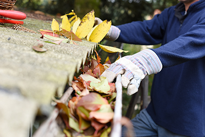 Gutter cleaning in Spotswood, Close-up of homeowner wearing work gloves removing leaves from gutter